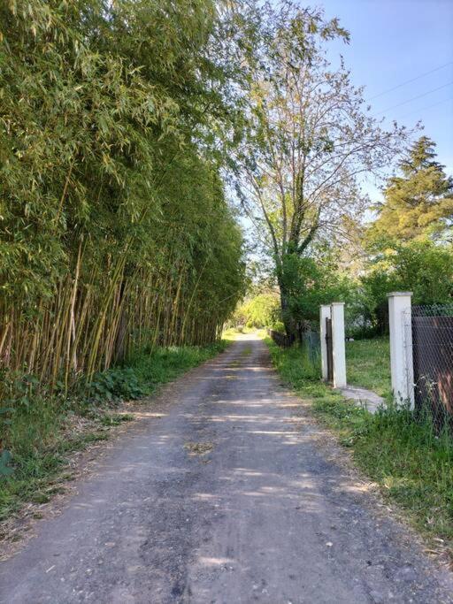 Gite O Fil Du Tarn Lescure-d'Albigeois ภายนอก รูปภาพ