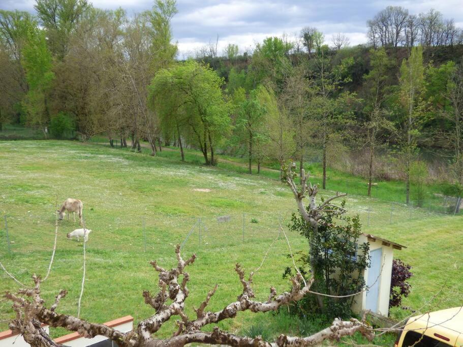 Gite O Fil Du Tarn Lescure-d'Albigeois ภายนอก รูปภาพ