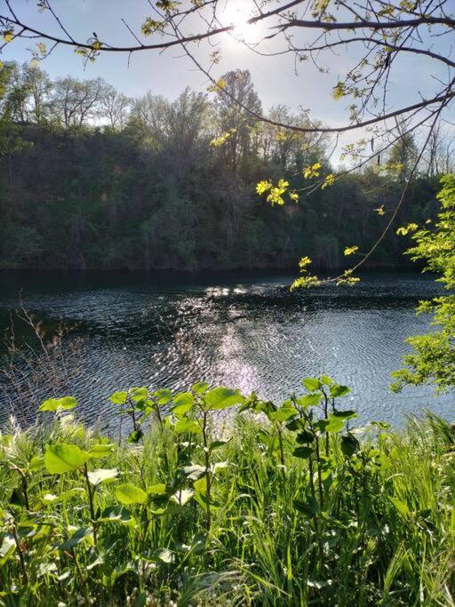 Gite O Fil Du Tarn Lescure-d'Albigeois ภายนอก รูปภาพ