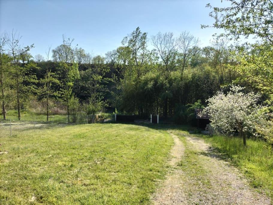 Gite O Fil Du Tarn Lescure-d'Albigeois ภายนอก รูปภาพ