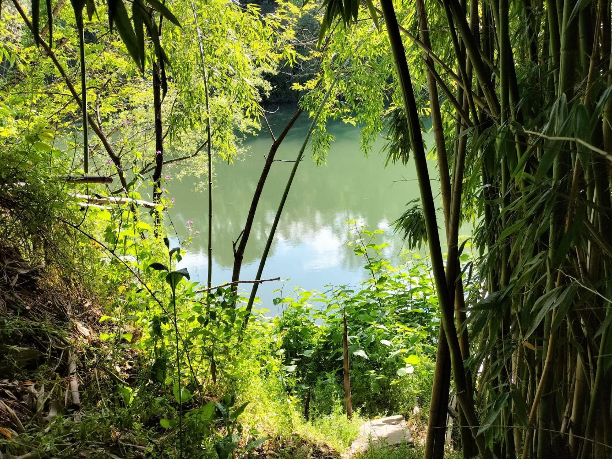 Gite O Fil Du Tarn Lescure-d'Albigeois ภายนอก รูปภาพ
